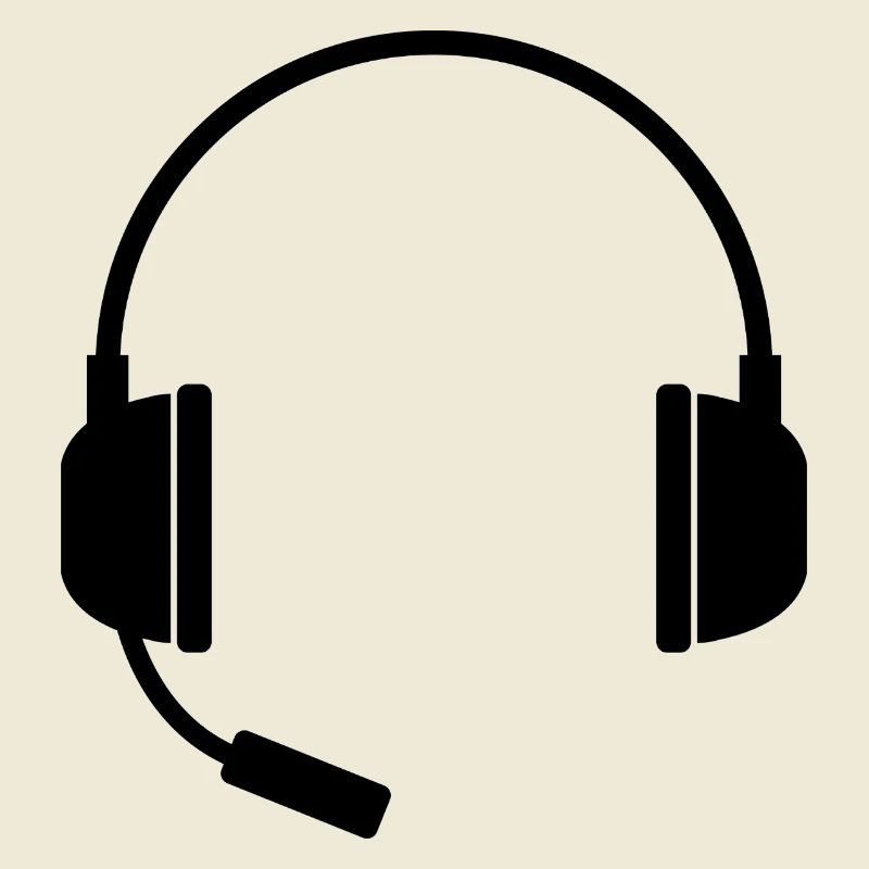Headset With Microphone