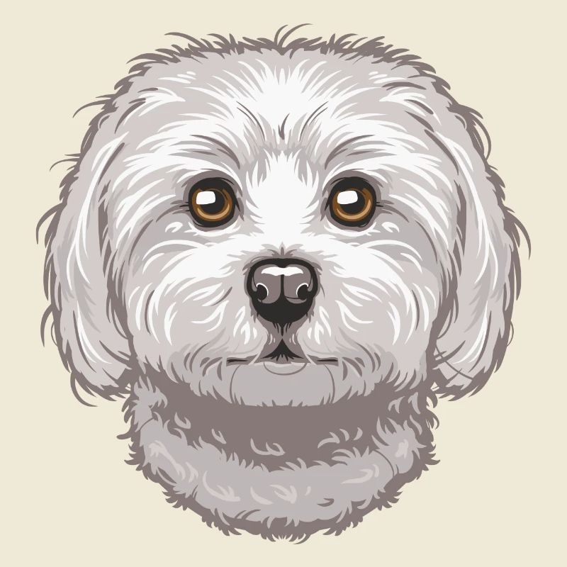 Maltese