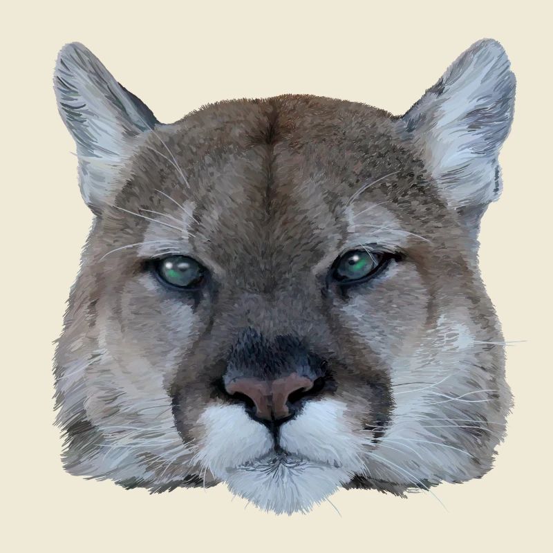 Panthère