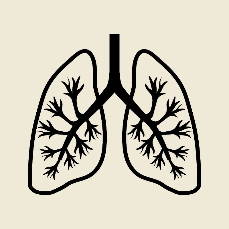 Lungs