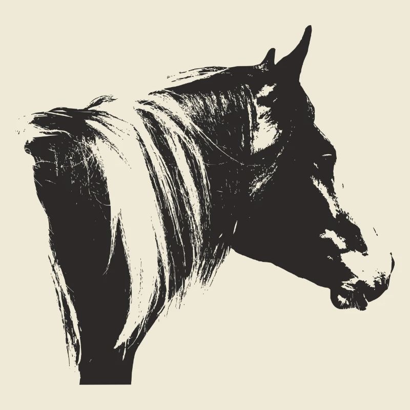 Lewitzer Schecke, Pferd Schecke, Pinto