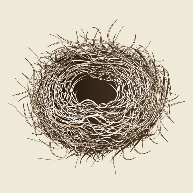 leeres Vogelnest oder Osternest zum Frühling
