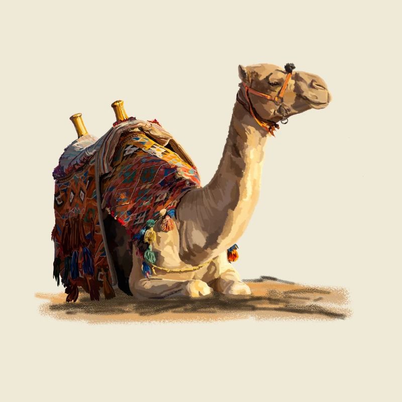 kamel