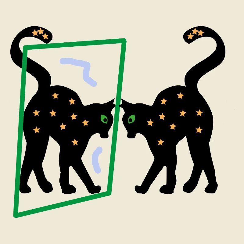 Mirror the Kitten, Abstraction