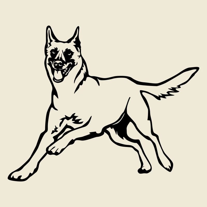 Malinois