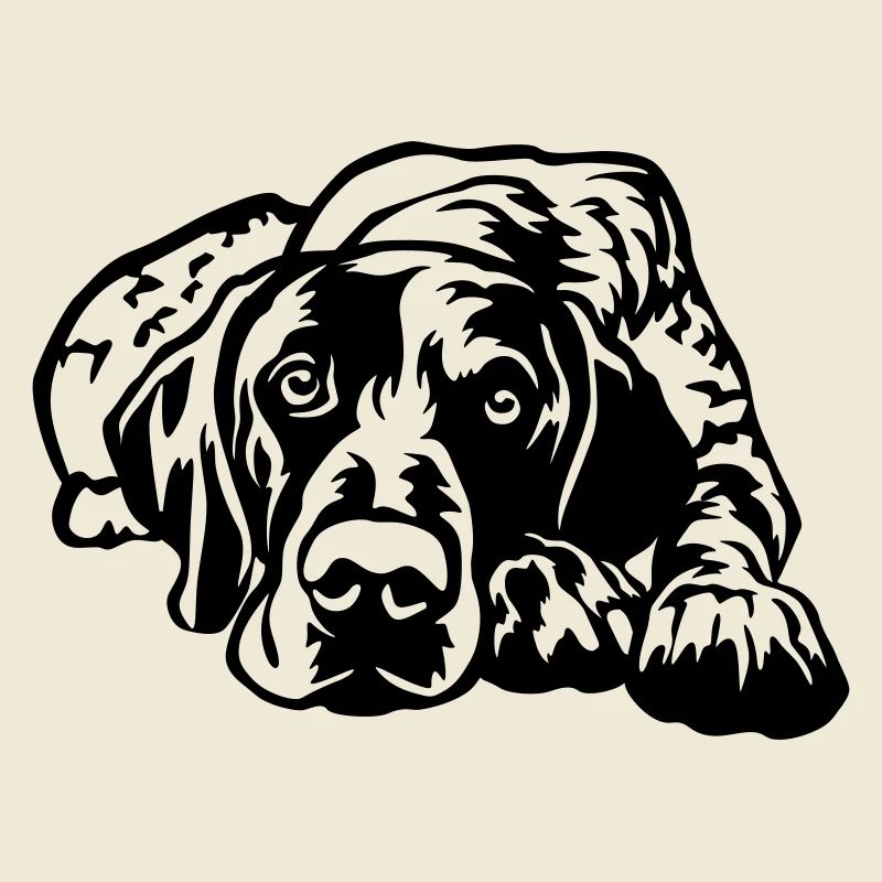 German Shorthaired Pointer
