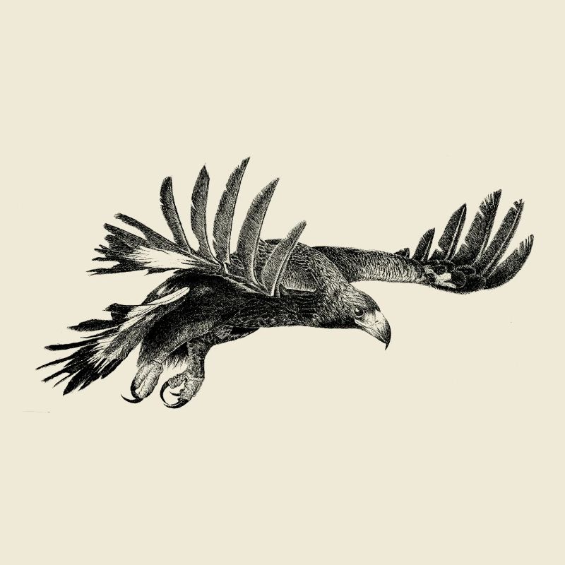 The Eagle