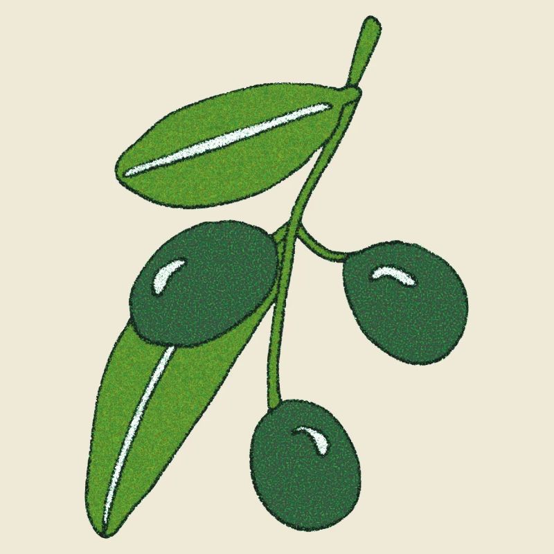 olive branch