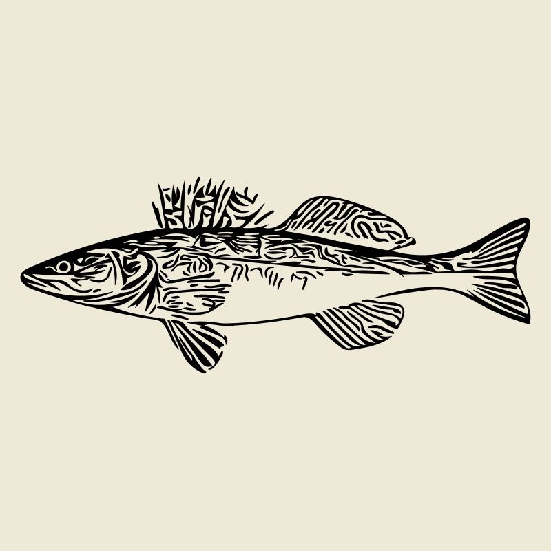 pike-perch