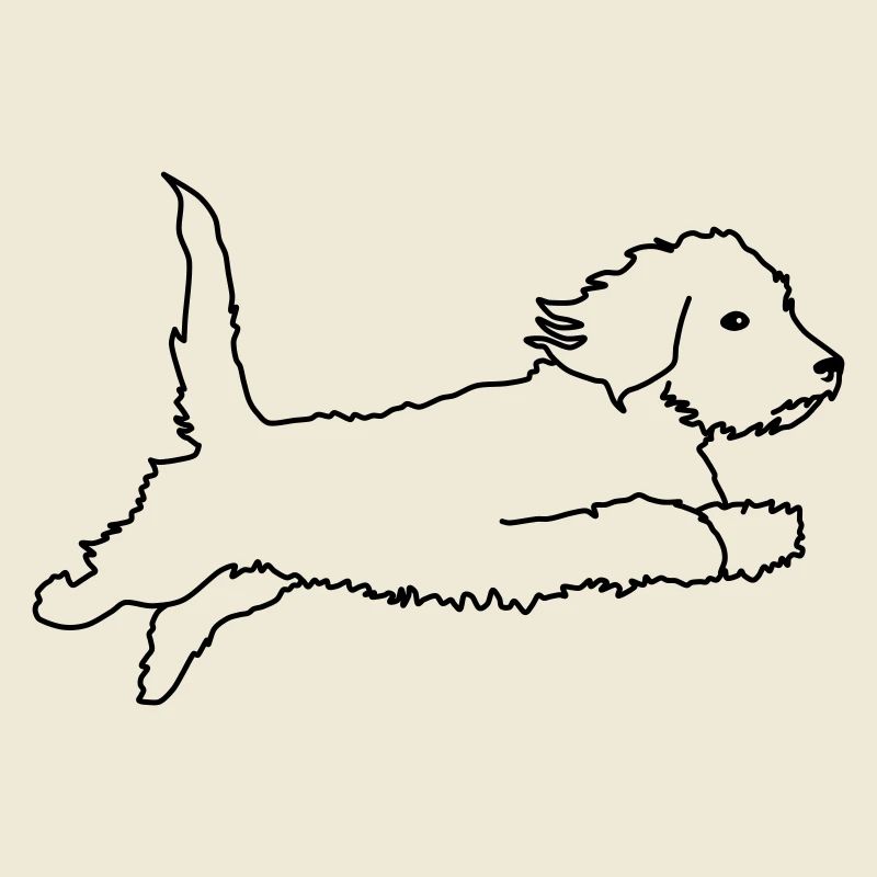 Wire-haired dachshund flying
