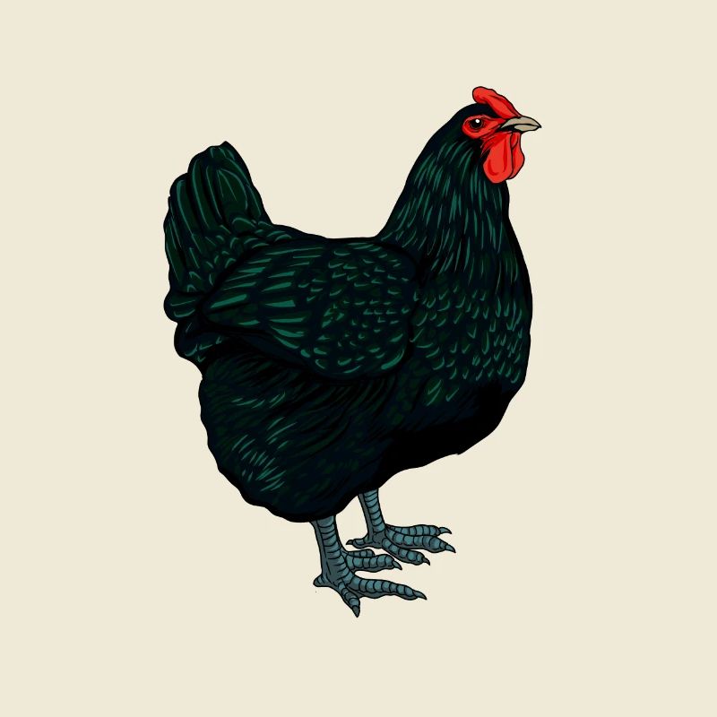 Jersey Géant