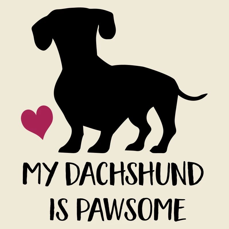 dachshund