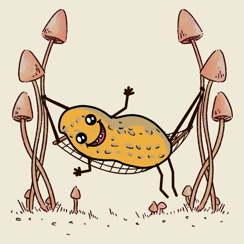 Peanut Peanuts Hammock Chill Hanging Nut