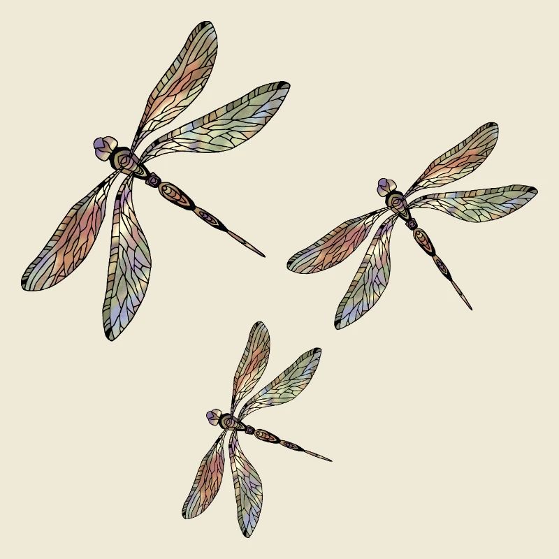 Libellules