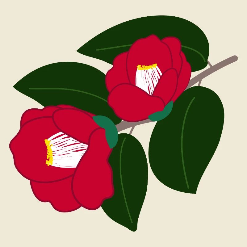 zwei rote Kamelienblüten