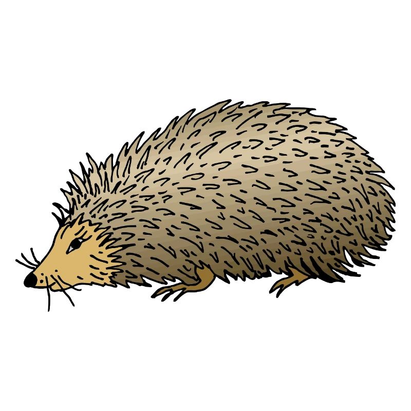 Hérisson