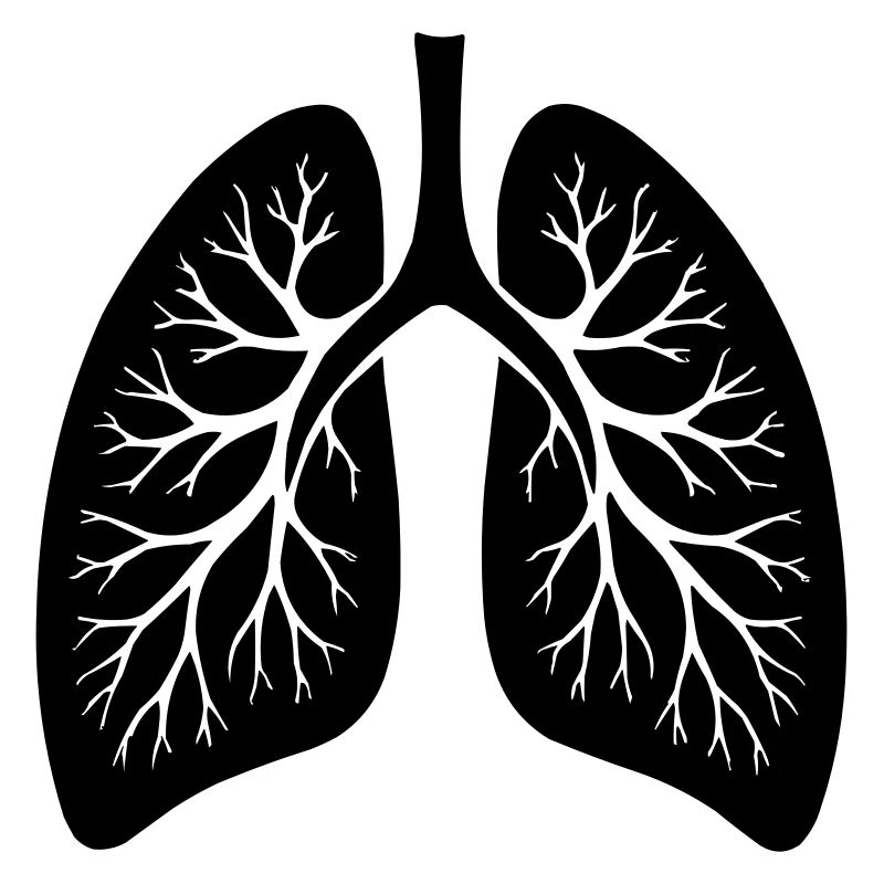 lung