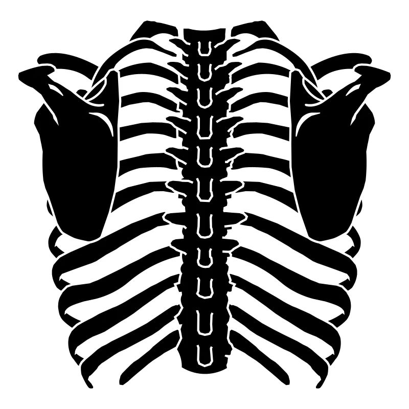 Ribcage (Back side)