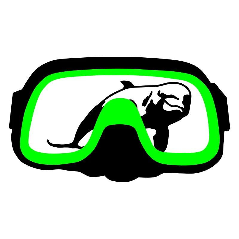 Diving goggles