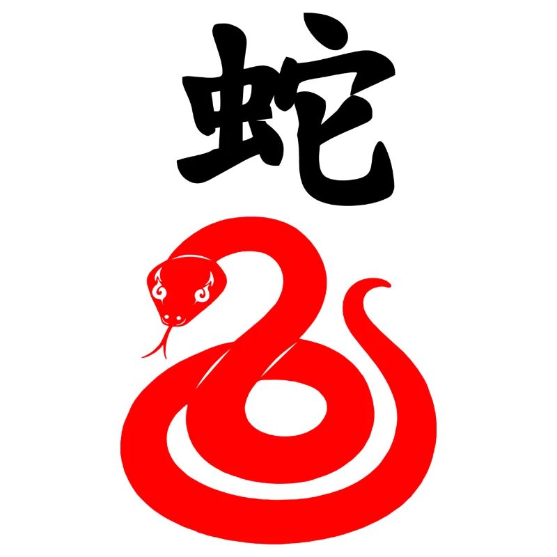 Chinese script with red snake