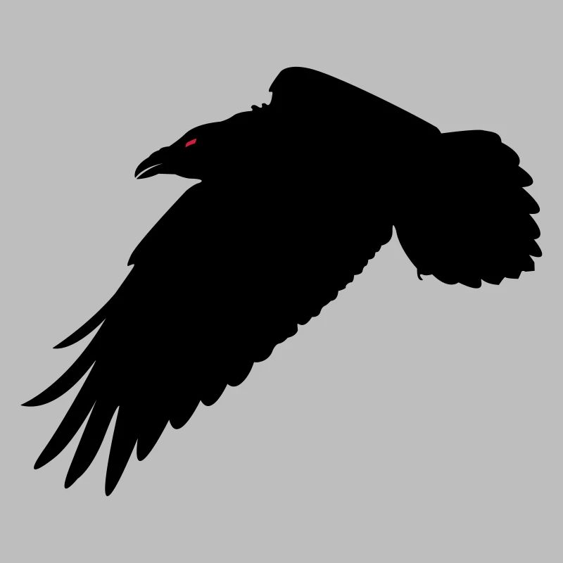Schwarzer Rabe