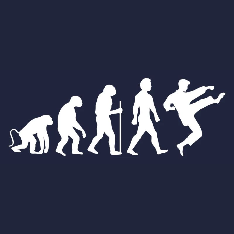 karate evolution