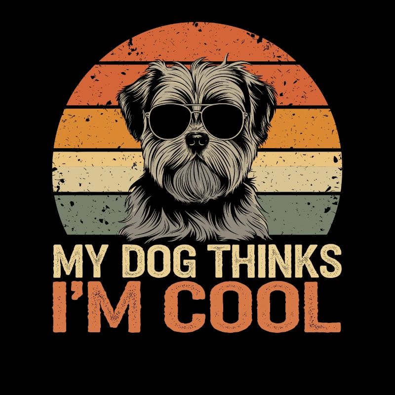 Shi shitzu my dog thinks I'm cool