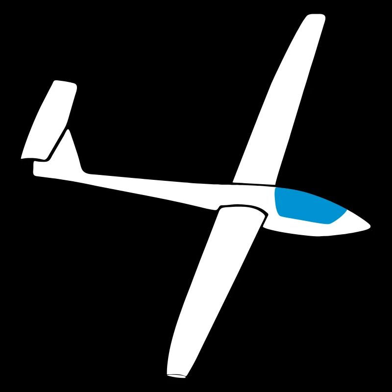Glider Training Astir Coarse Gift Pilot