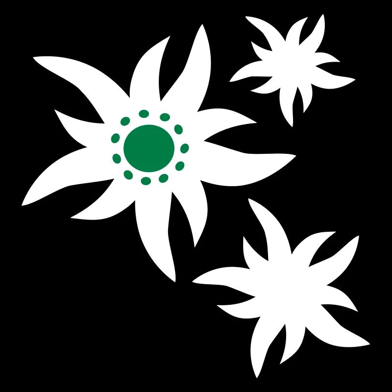 3 fleurs Fleurs d'Edelweiss