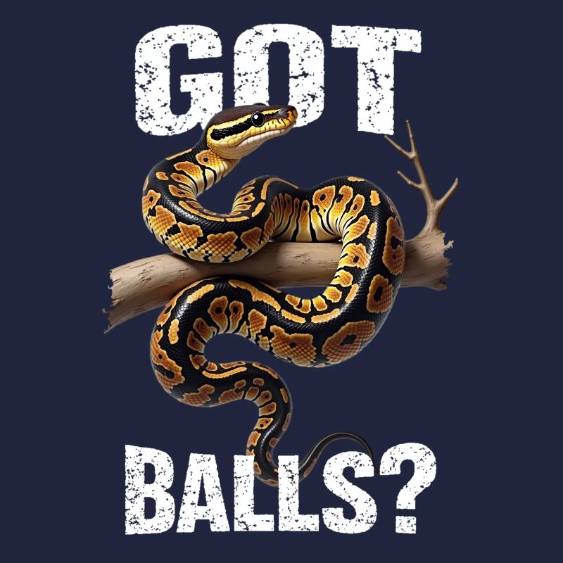 Python roi Serpents Amateurs de terrarium Python