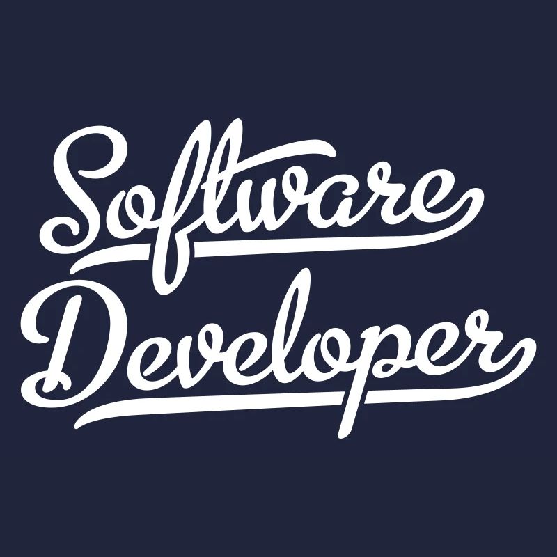 Software Developer