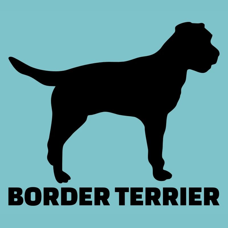Border Terrier