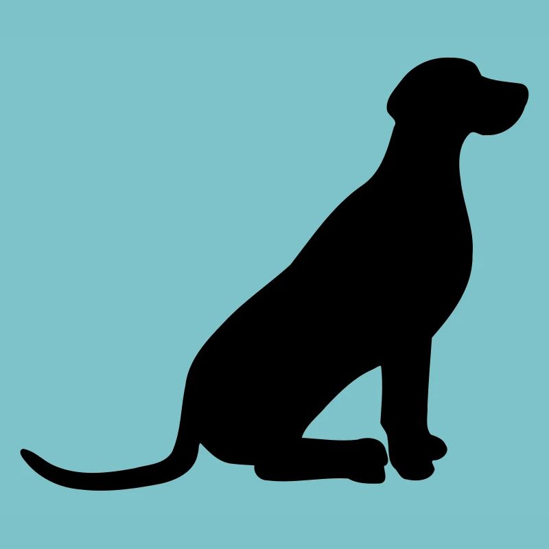 Weimaraner vector