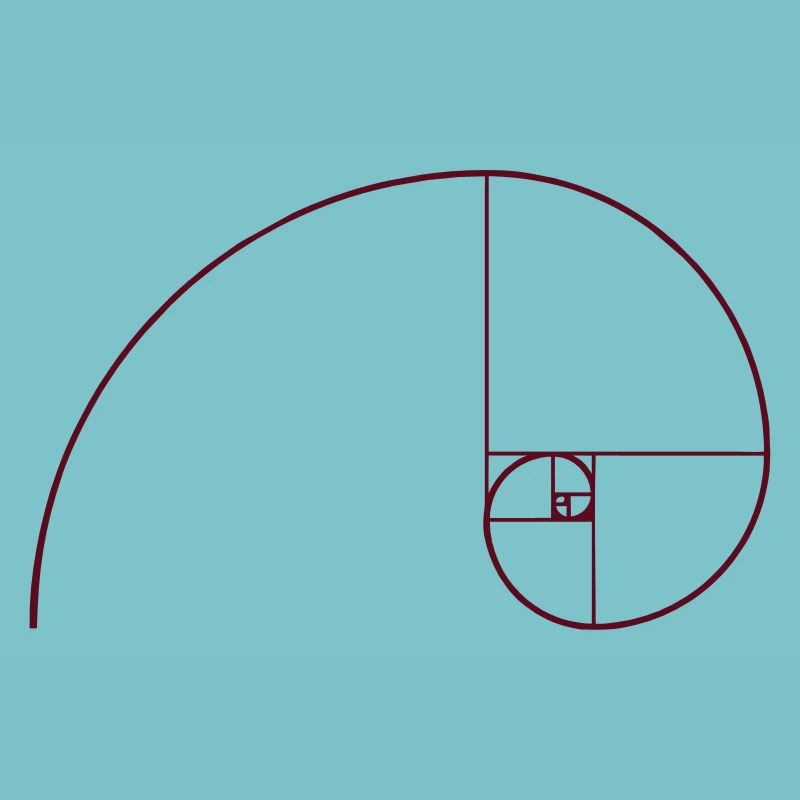 Spirale de Fibonacci, section doré, Phi, evolution