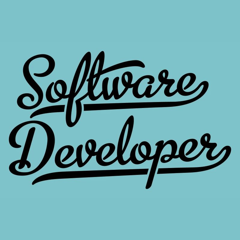 Software Developer