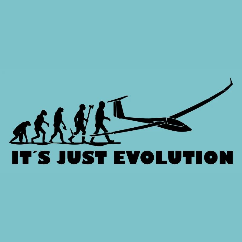 evolution segelfliegen