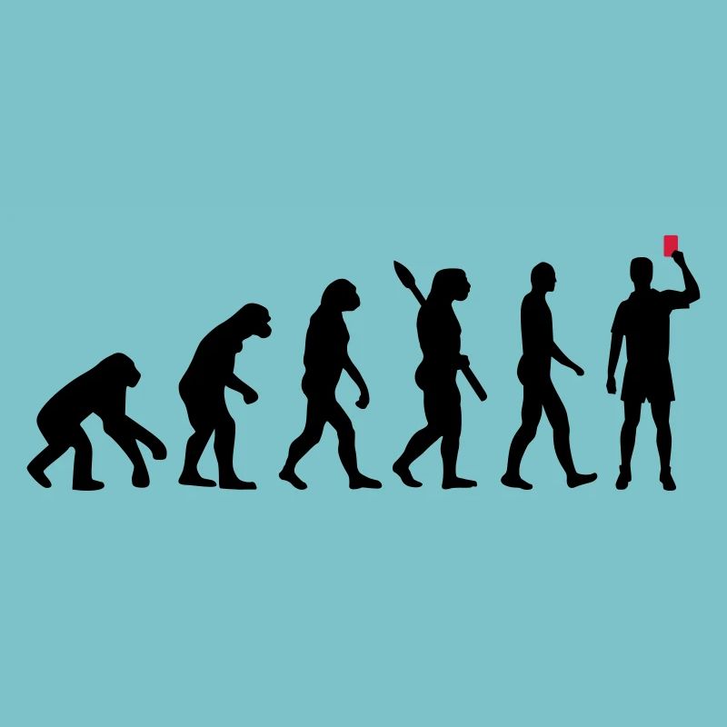 Évolution Arbitre