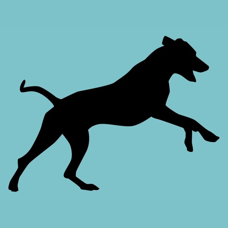 Rhodesian Ridgeback