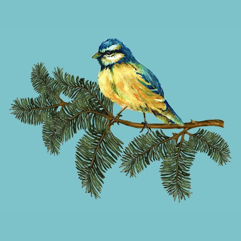 Bunter Vogel