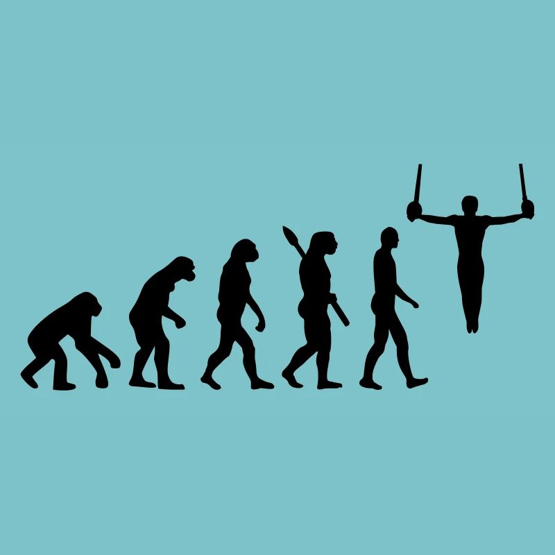 Évolution Gymnastique