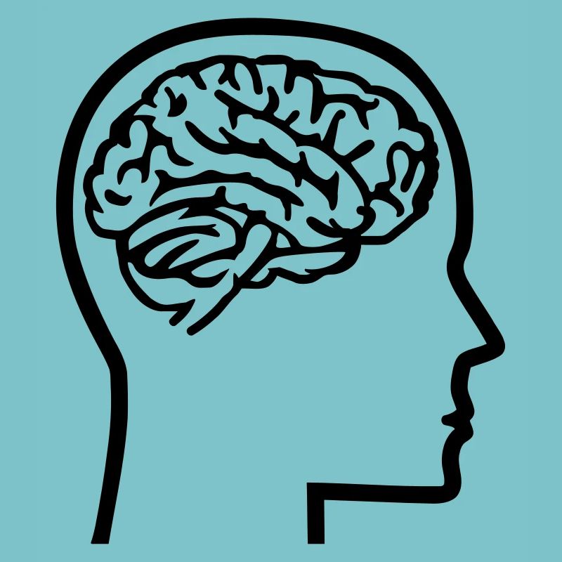 Brain