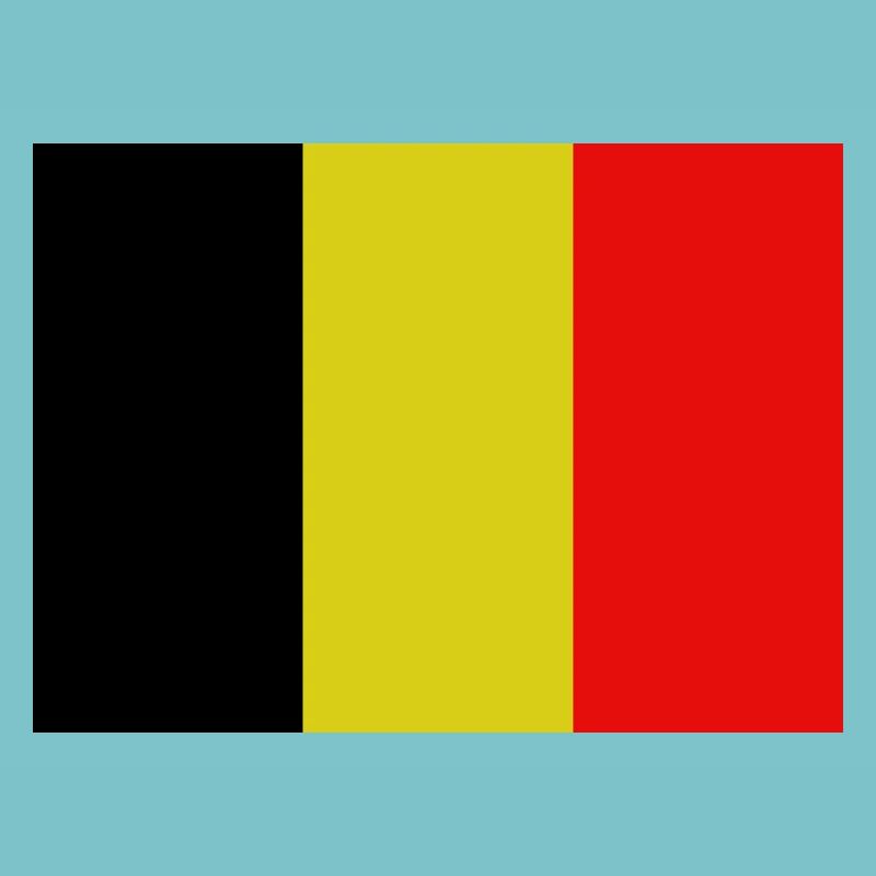 Drapeau belge