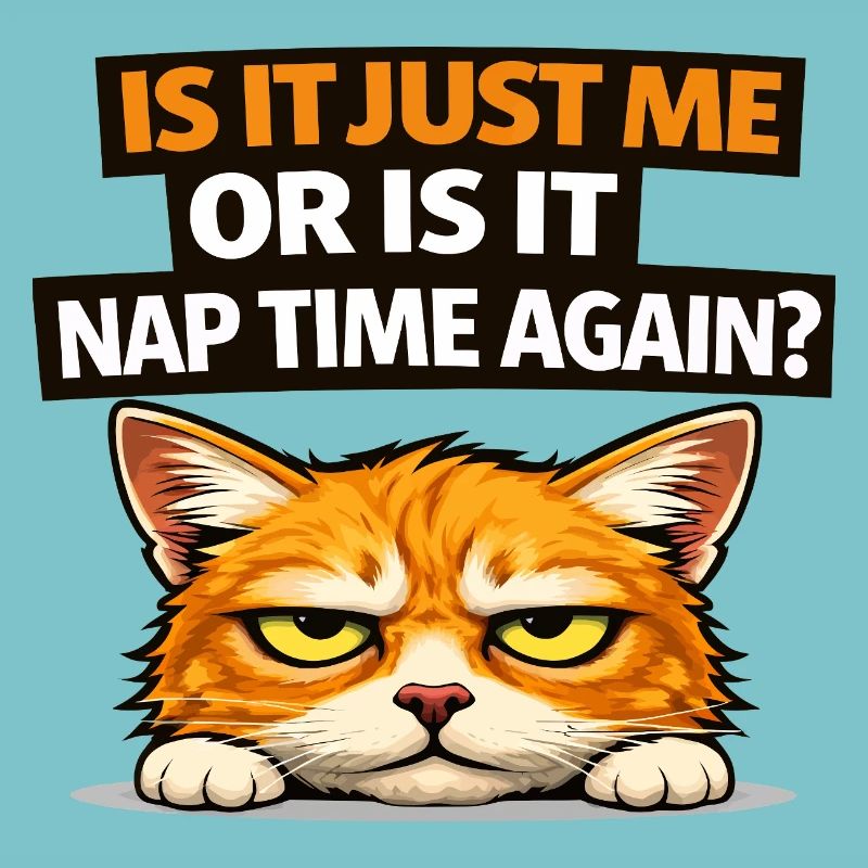 Nap Time Cat Meme