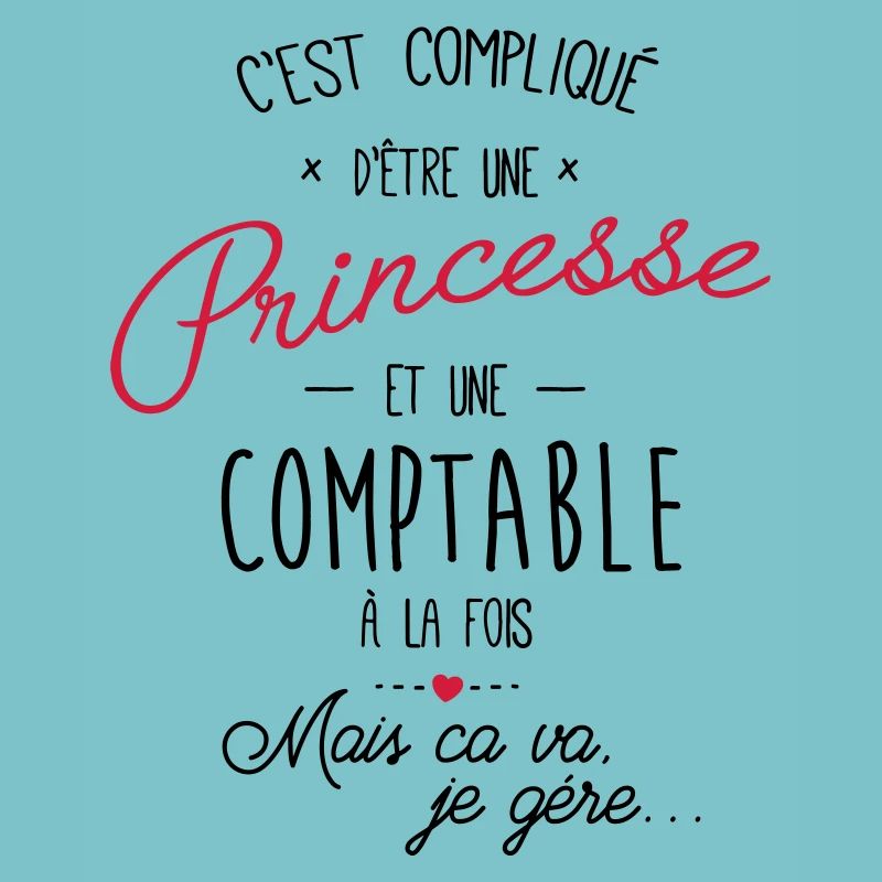 Princesse et comptable