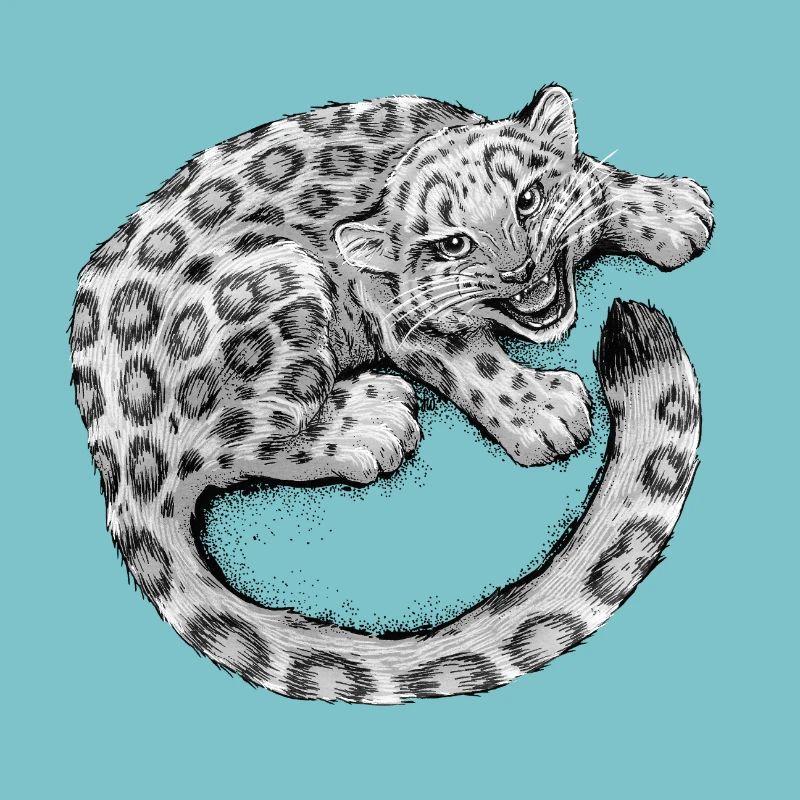 Bébé léopard des neiges