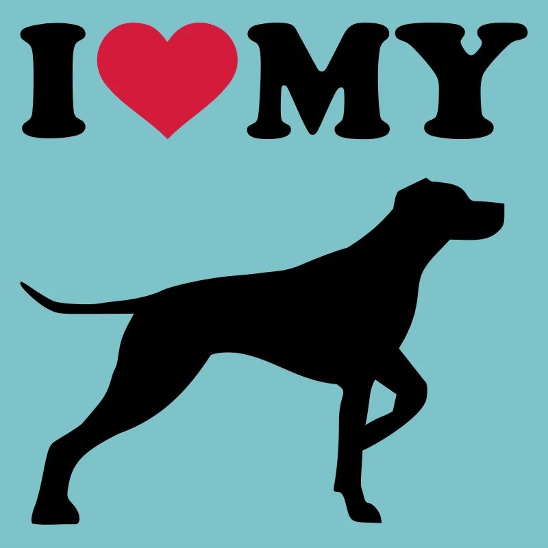 German Shorthaired Pointer