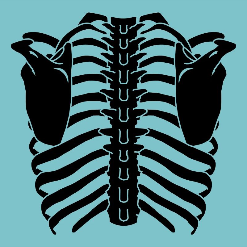 cage thoracique (dos)