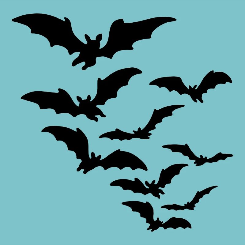 fledermaus