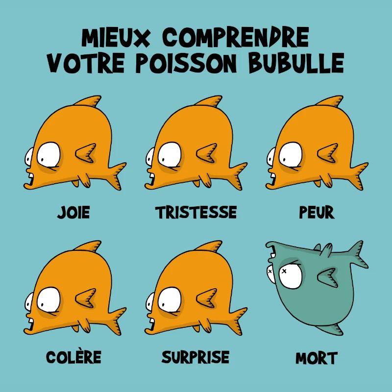 Mieux_comprendre_bubulle