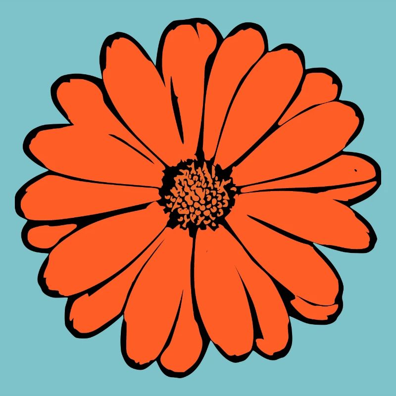 Lys, Fleur, Fleur, Oranges
